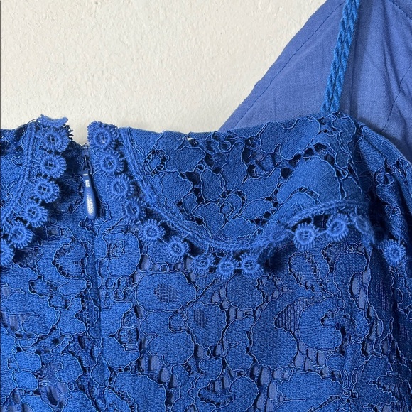 cupcakes & cashmere Blue Lace Dress - Picture 10 of 11